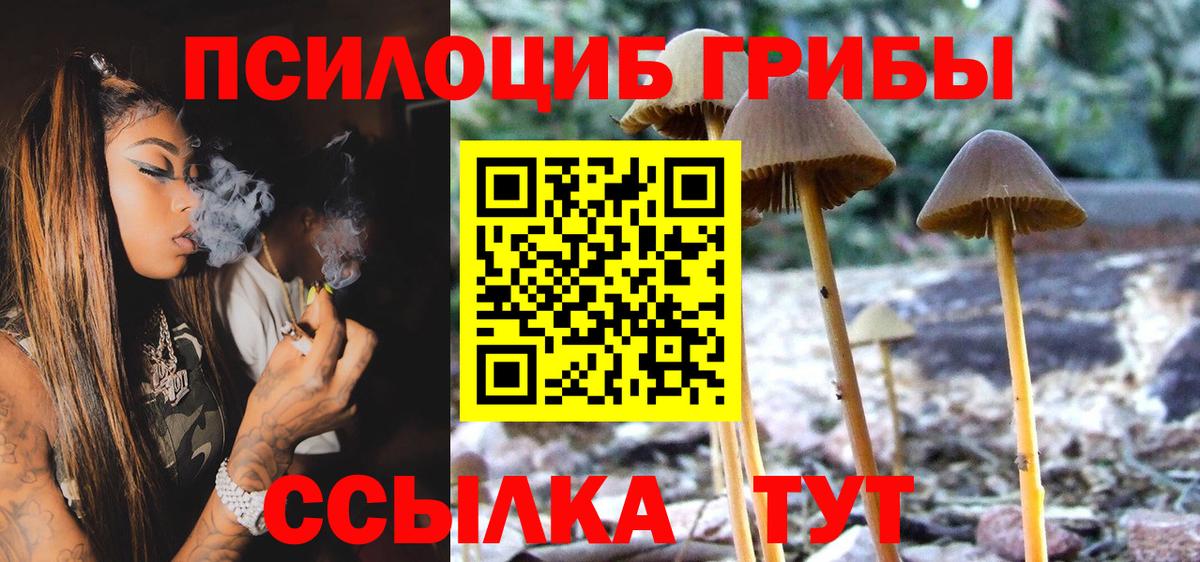Галлюциногенные грибы GOLDEN TEACHER Черногорск